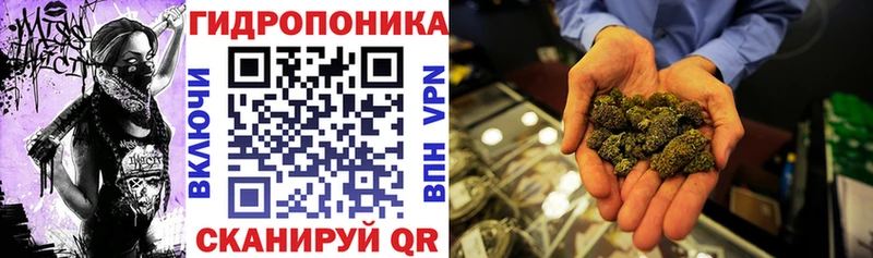 Каннабис гибрид  Мглин 